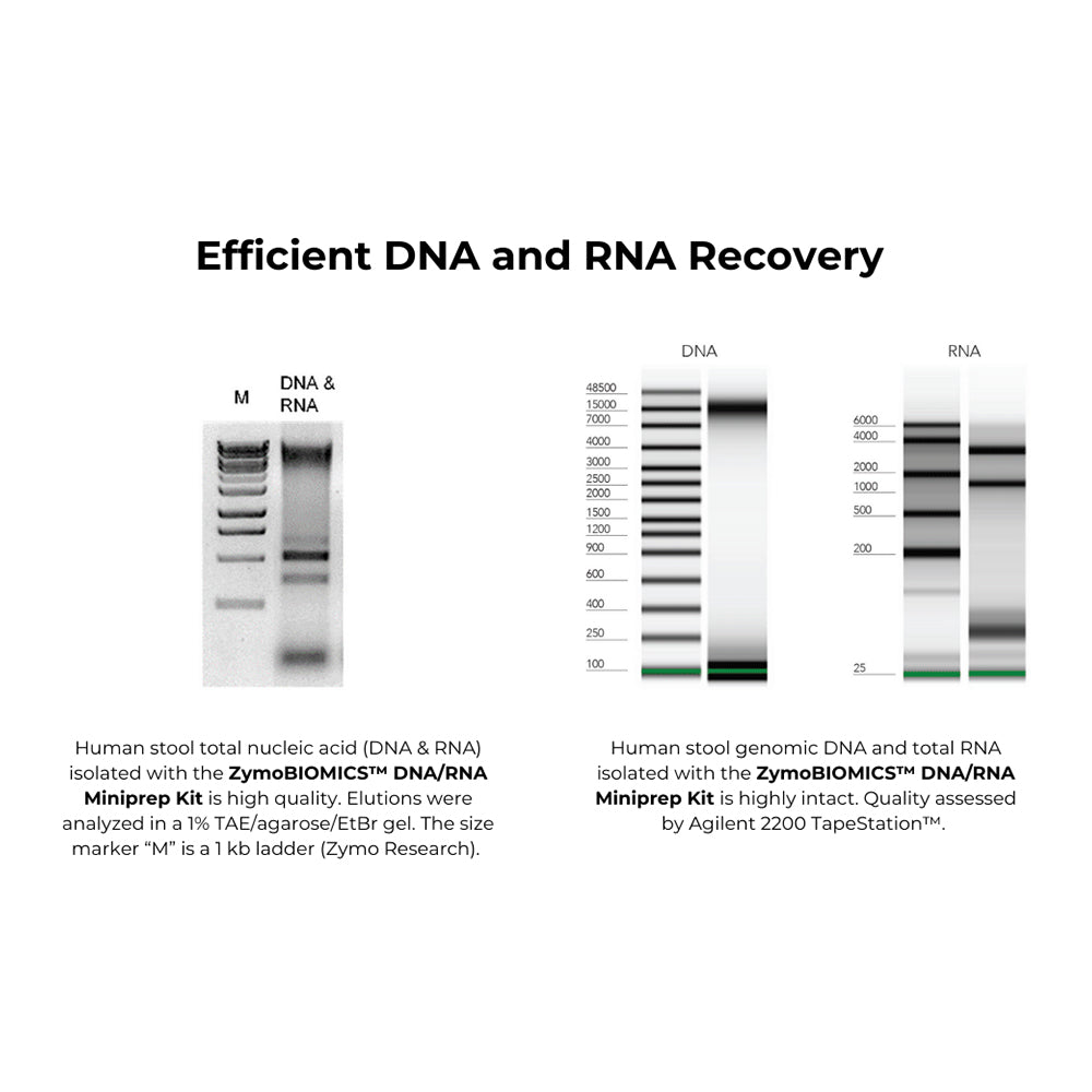 ZymoBIOMICS DNA/RNA Mini Kit (50 preps)