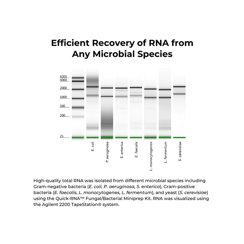 Quick-RNA Fungal/Bacterial MicroPrep™ Kit (50 Preps)