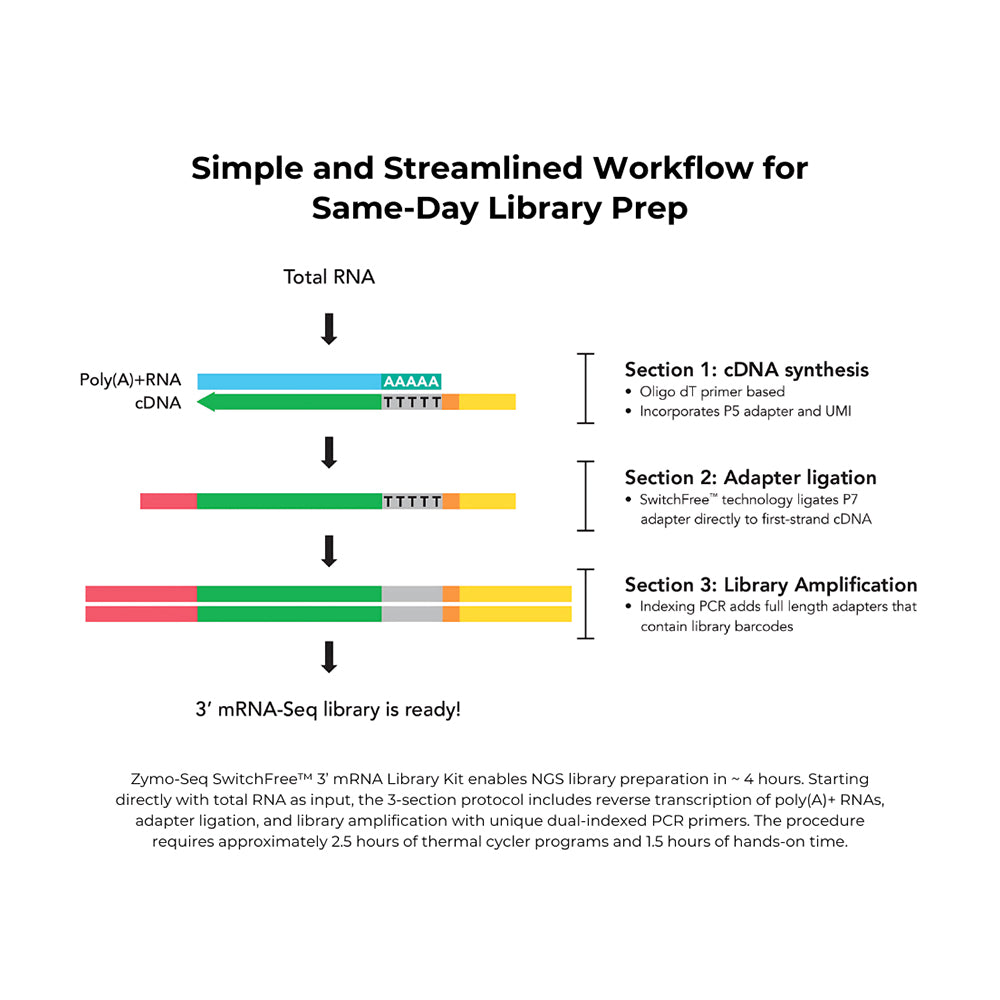 Zymo-Seq SwitchFree 3′ mRNA Library Kit (96 Preps)