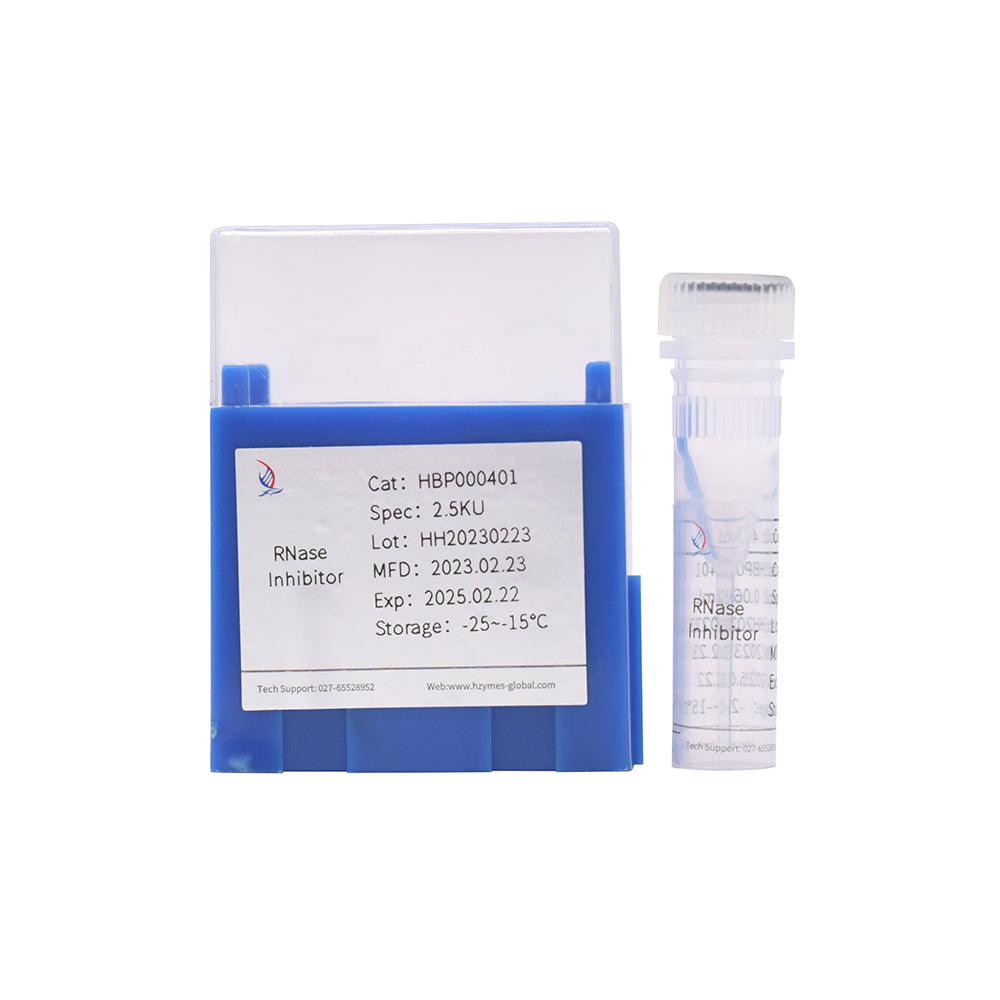 RNase-Inhibitor, 40 Einheiten/μL Aktivität, 1 ml