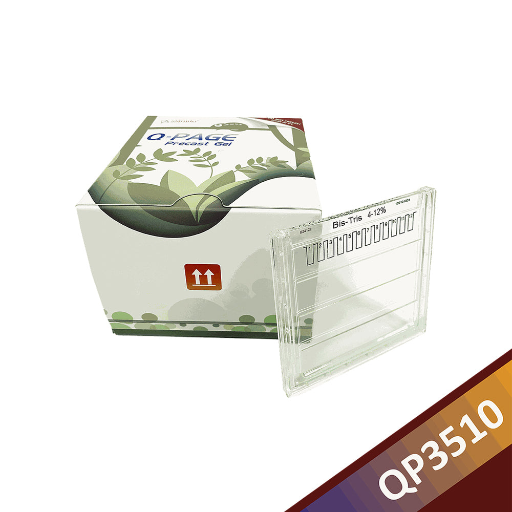 Q-PAGE™ Bis-Tris Precast Gel (Midi, 12 Vertiefungen, 4–12 %), 10 Gele