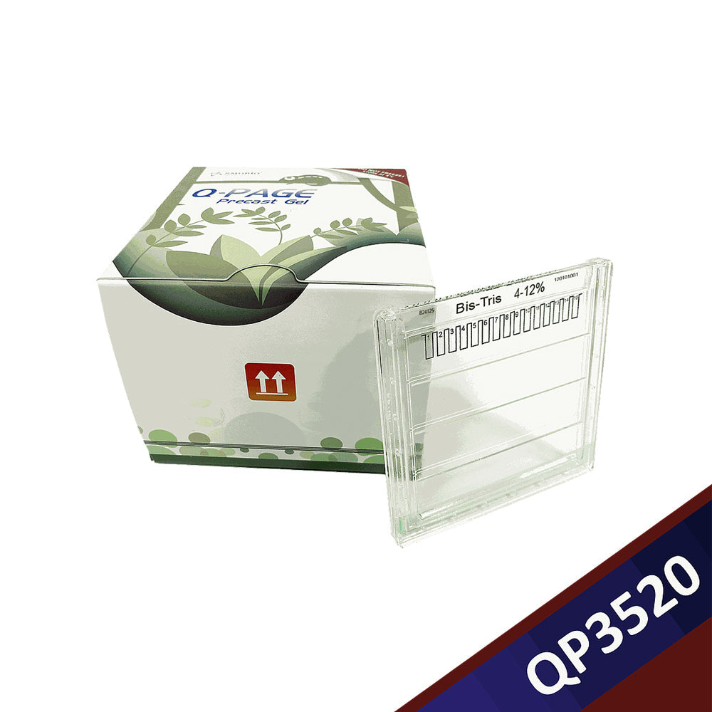 Q-PAGE™ Bis-Tris Precast Gel (Midi, 15 Vertiefungen, 4–12 %), 10 Gele