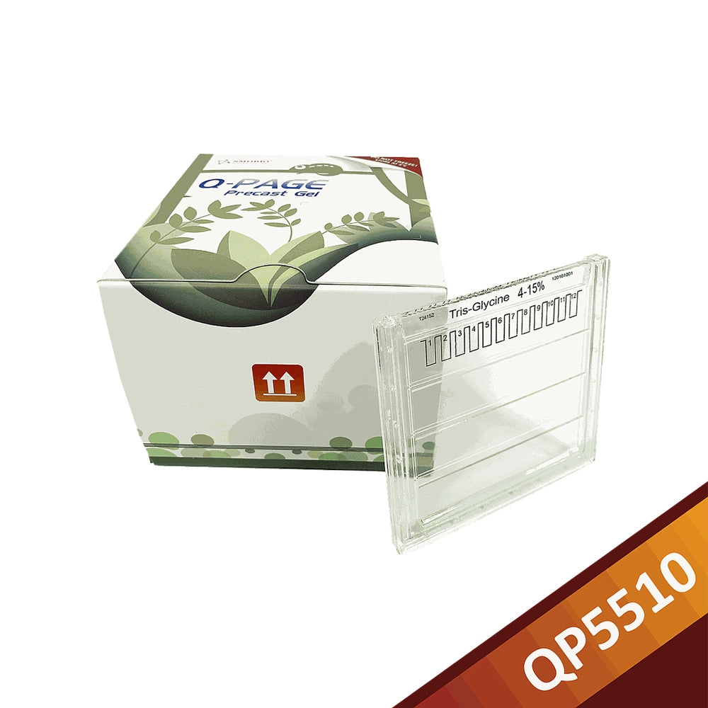 Q-PAGE™ TGN Precast Gel (Midi, 12 Vertiefungen, 4–15 %), 10 Gele