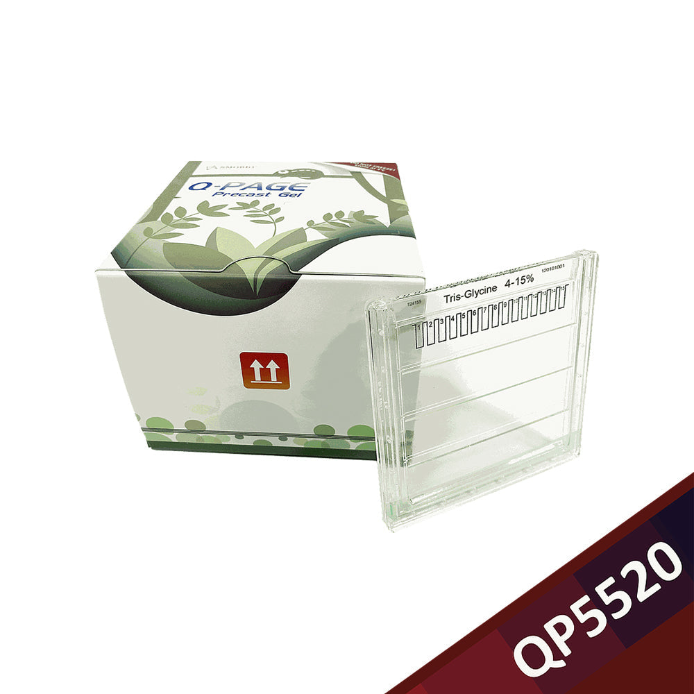 Q-PAGE™ TGN Precast Gel (Midi, 15 Vertiefungen, 4–15 %), 10 Gele