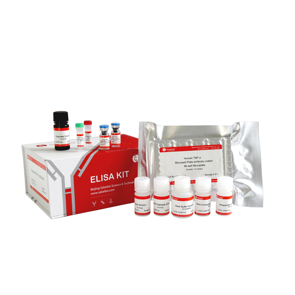 Human IFN-α ELISA KIT-48T, Lagerung bei 2–8 °C für maximale Stabilität
