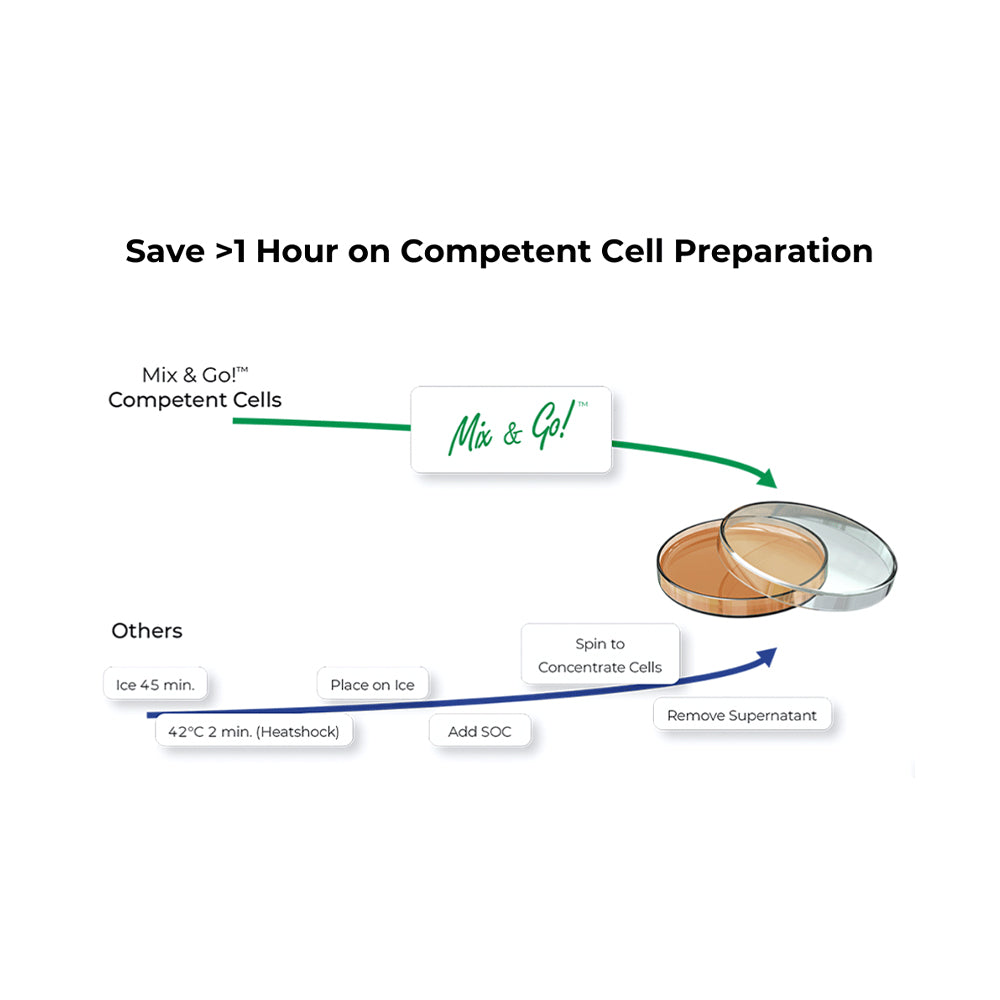 Mix & Go! E.coli Transformation Kit (up to 20 ml)