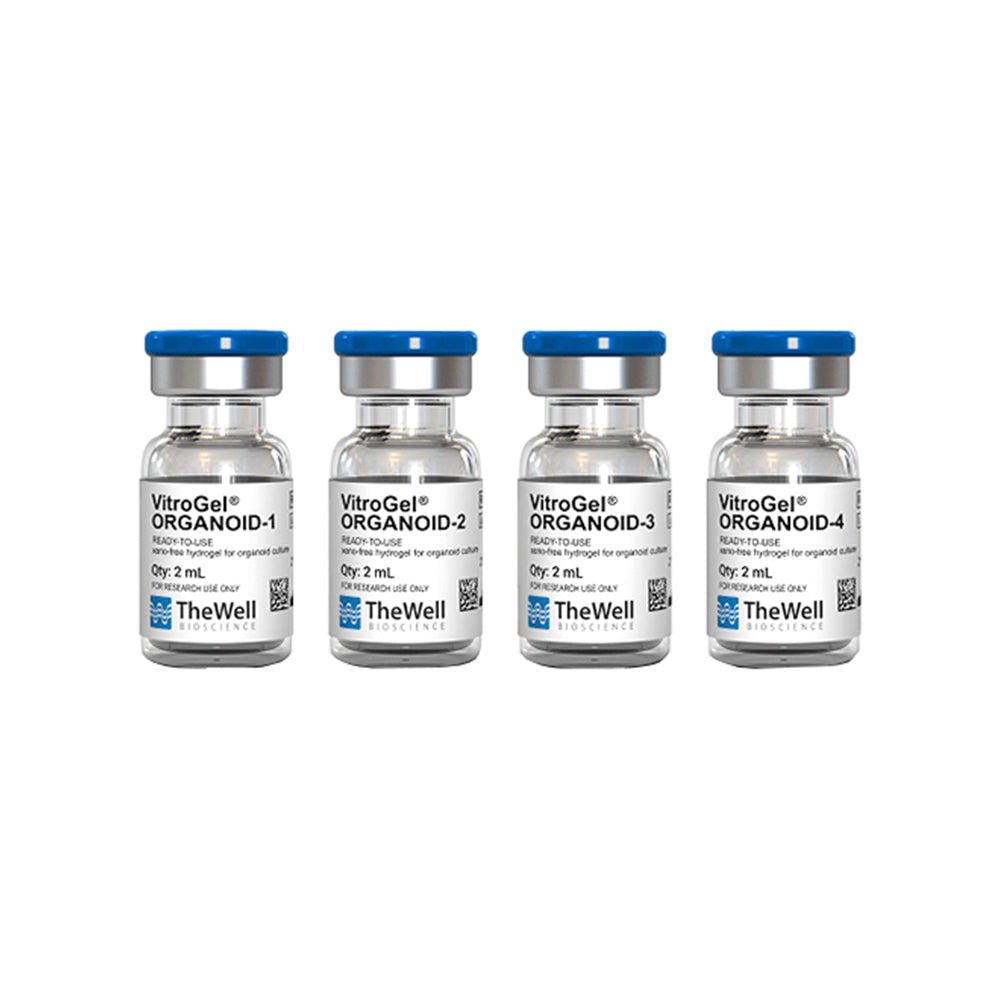 VitroGel® ORGANOID Entdeckungskit